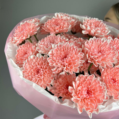 Букет из 5 коралловых хризантем